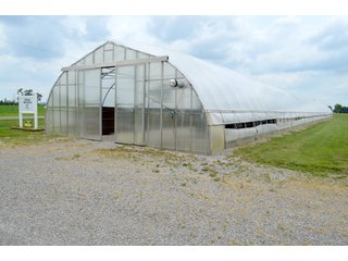 Property photo 3 - GREENHOUSE FARM AUCTION IN HENRY COUNTY, OHIO
